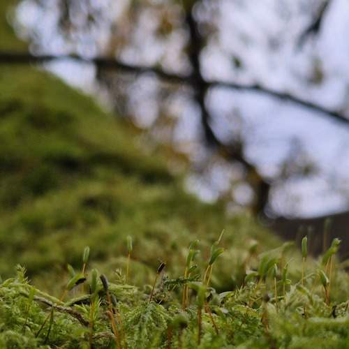 Photo #13610847