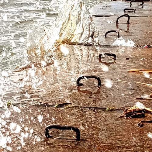Photo #13611021