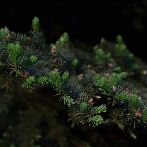 Photo #13611047