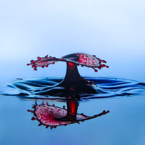 The Crimson Umbrella