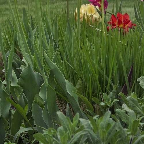Photo #13611104