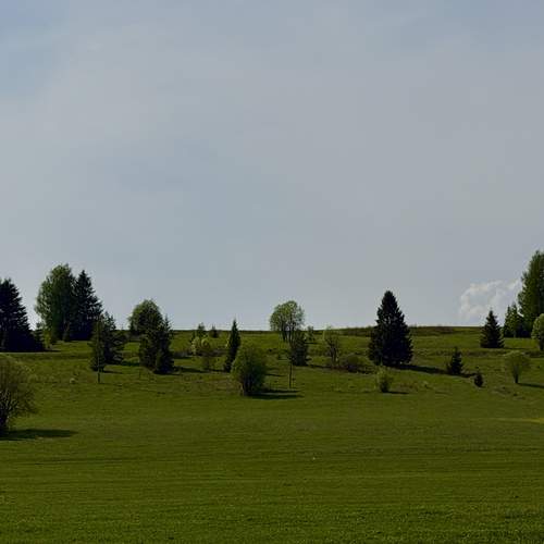 Photo #13611189