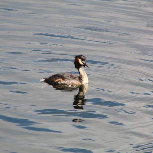 Photo #13611257