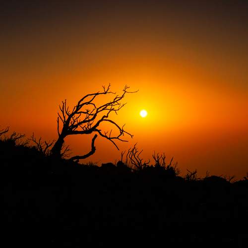 Photo #13611268
