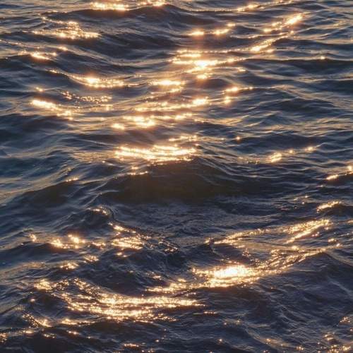 Photo #13611281
