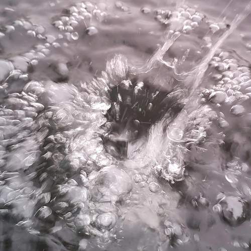 Photo #13611304