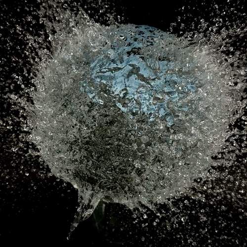 Photo #13611312