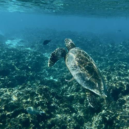 Photo #13611335