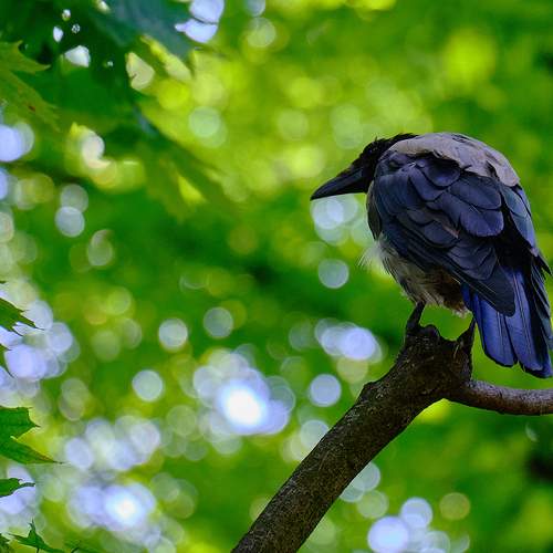 Photo #13611344