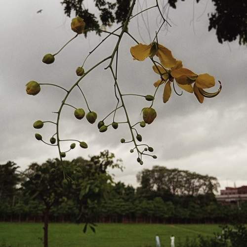 Photo #13611348