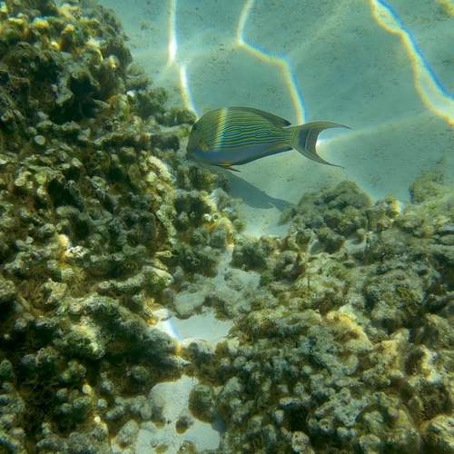 Photo #13611358