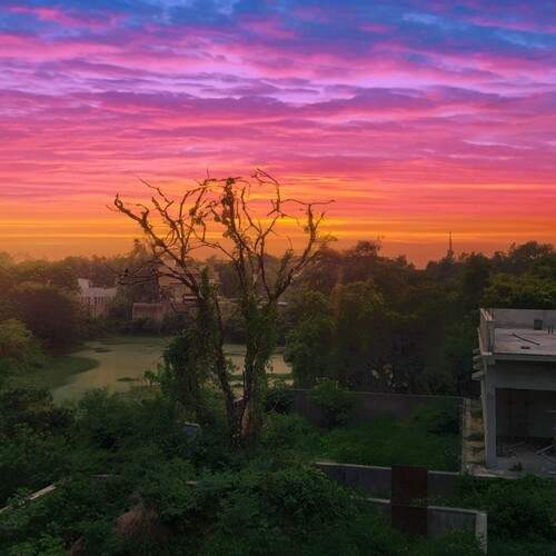 Photo #13611374