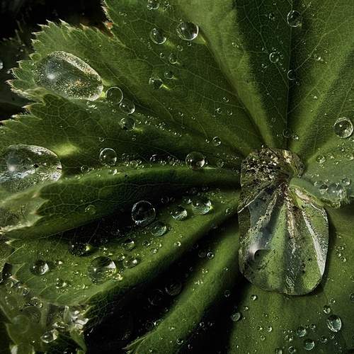 Photo #13611410