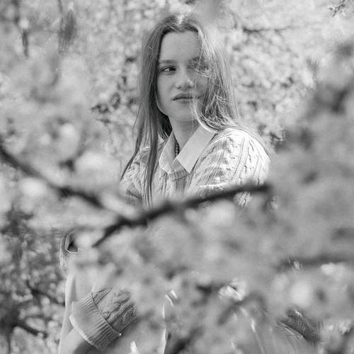 Photo #13611512