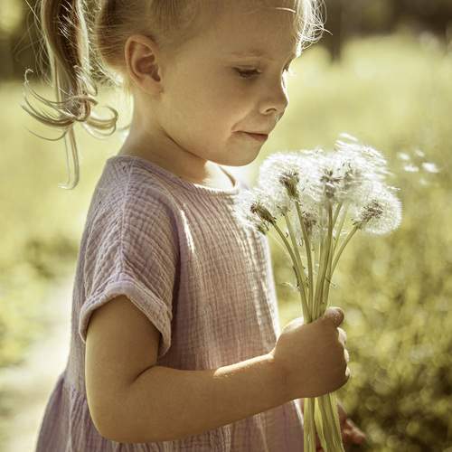 Photo #13611535