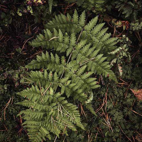 Photo #13611592