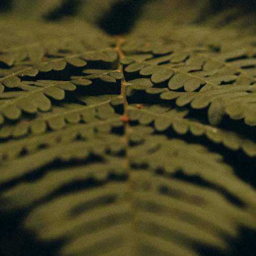 Photo #13611645