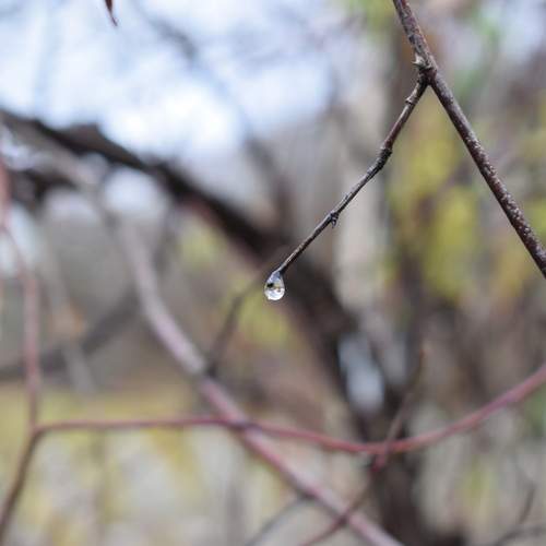 Photo #13611700