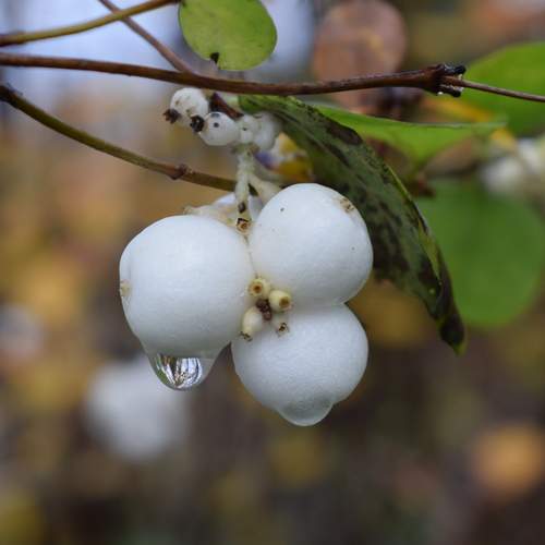 Photo #13611701
