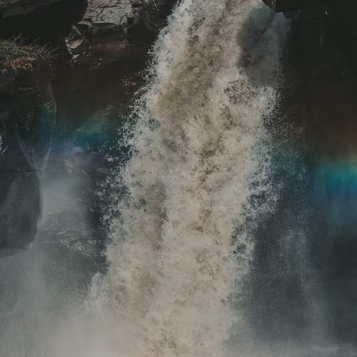 Photo #13611764