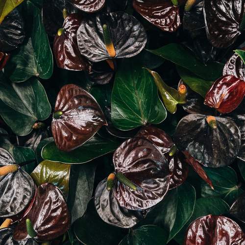 Photo #13611946