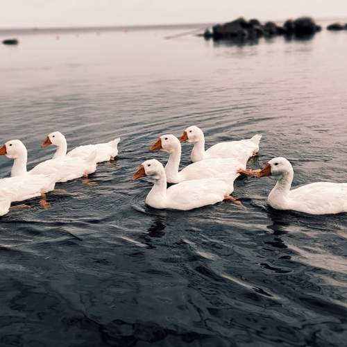 Photo #13611967