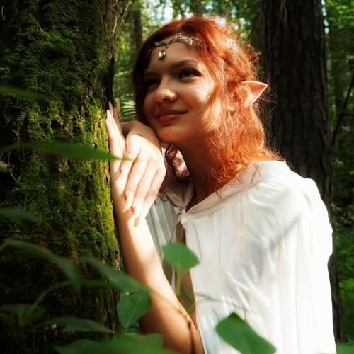 Photo #13612004