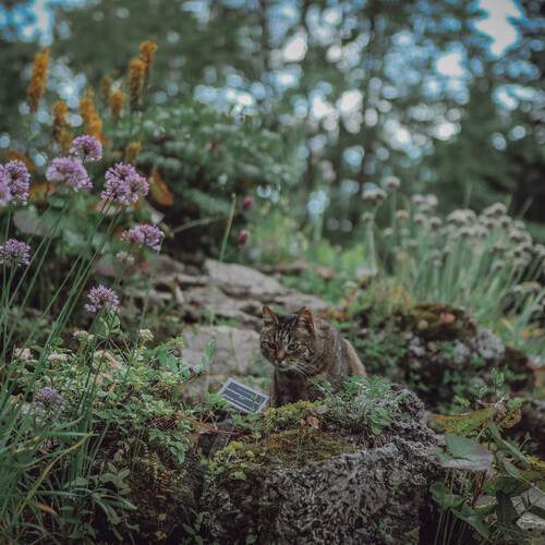 Photo #13612018