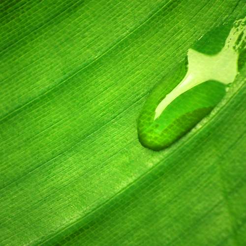Photo #13612027