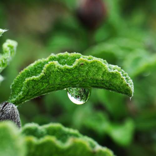 Photo #13612042