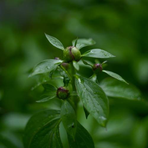 Photo #13612053