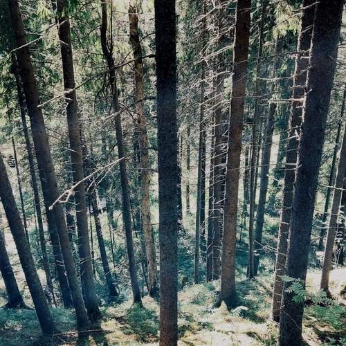 Photo #13612054