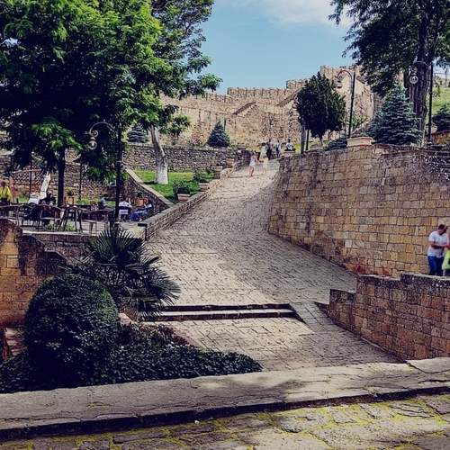 Photo #13612057