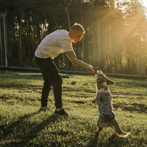 Photo #13612092