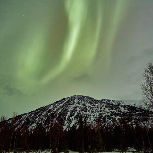 Photo #13612099