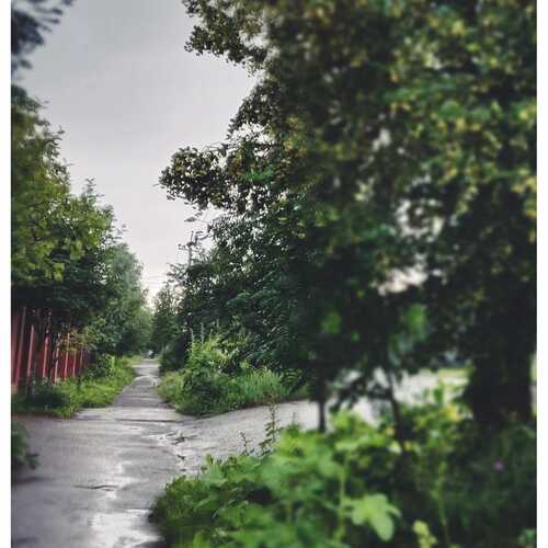 Photo #13612143
