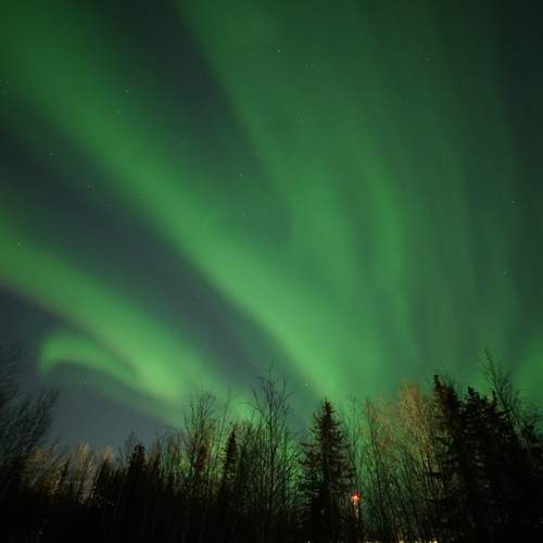 Photo #13612243