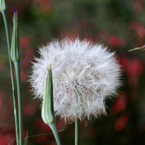 Photo #13612257
