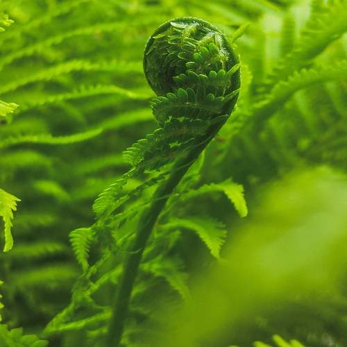 Photo #13612323
