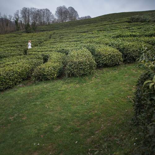 Photo #13612365