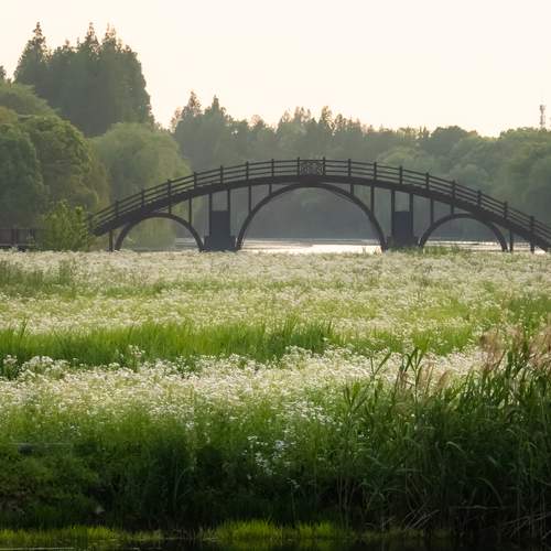 Photo #13612499