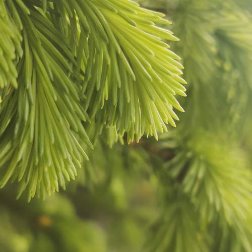 Photo #13612587