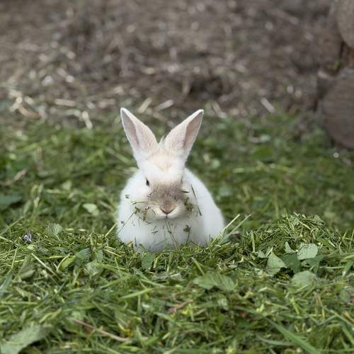 Photo #13612590