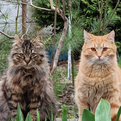 Photo #13612592