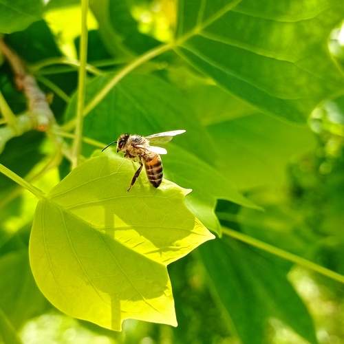 Photo #13612640