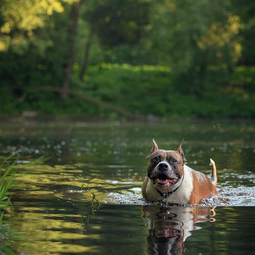 Photo #13612649