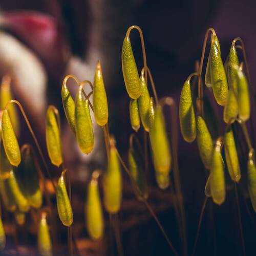 Photo #13612707