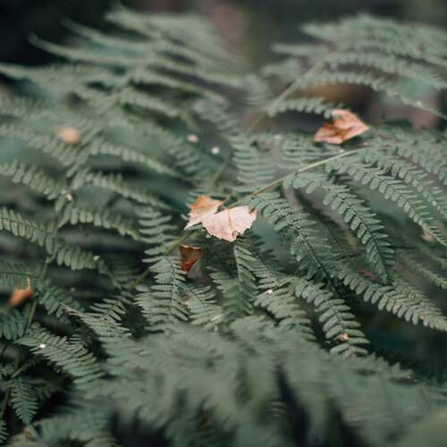 Photo #13612861