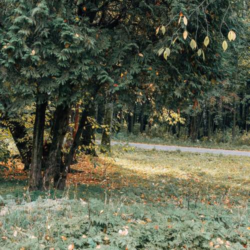 Photo #13612863