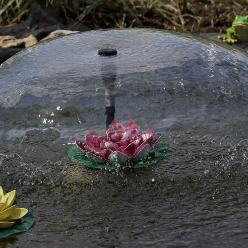Photo #13612919